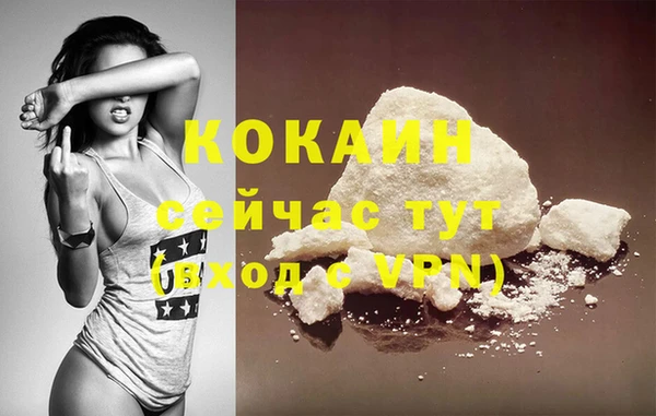гашик Кизел